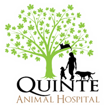 Quinte Animal Hospital
