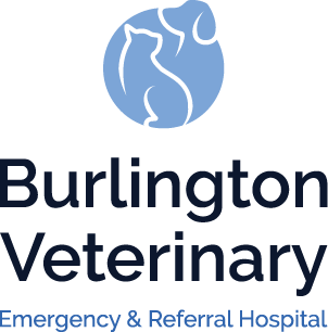 Burlington Veterinary Emergency and Referral Hospital